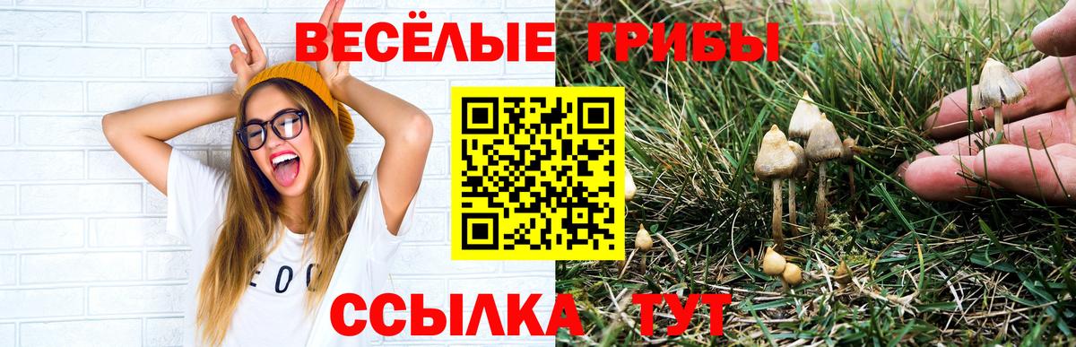 Галлюциногенные грибы мицелий Можайск
